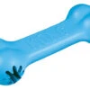 KONG - Jouet Goodie Bone Pour Chien 1 KONG - Jouet Goodie Bone Pour Chien -Magasin De Fournitures Pour Chiens 11276
