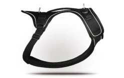 Curli - Harnais Belka Air-Mesh En Noir Pour Chiens - S -Magasin De Fournitures Pour Chiens 17315