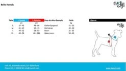 Curli - Harnais Belka Air-Mesh En Noir Pour Chiens - S -Magasin De Fournitures Pour Chiens 17317