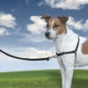 PetSafe - Harnais Easy Walk Pour Chien 1 PetSafe - Harnais Easy Walk Pour Chien -Magasin De Fournitures Pour Chiens 2276