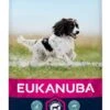 Eukanuba - Croquettes Au Poulet Pour Chien Adulte De Taille Moyenne - 15Kg -Magasin De Fournitures Pour Chiens 26171
