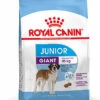 Royal Canin - Croquettes Giant Junior Pour Chiot - 15Kg -Magasin De Fournitures Pour Chiens 26290