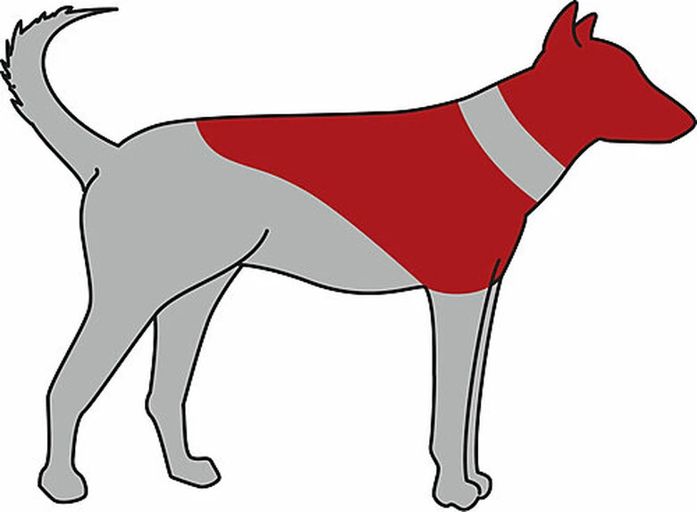 Trixie - Collerette De Protection Gonflable Pour Chien - L-XL 5 Trixie - Collerette De Protection Gonflable Pour Chien - L-XL – Image 3