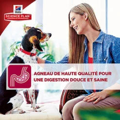 Hill's Science Plan - Croquettes à L'Agneau Et Riz Pour Chien De Grande Race - 12Kg 12 Hill's Science Plan - Croquettes à L'Agneau Et Riz Pour Chien De Grande Race - 12Kg -Magasin De Fournitures Pour Chiens 28562