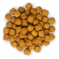 Hill's Science Plan - Croquettes à L'Agneau Et Riz Pour Chien De Grande Race - 12Kg 11 Hill's Science Plan - Croquettes à L'Agneau Et Riz Pour Chien De Grande Race - 12Kg -Magasin De Fournitures Pour Chiens 28564