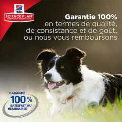 Hill's Science Plan - Croquettes Au Poulet Et Dinde Pour Chien De Petite Race -Magasin De Fournitures Pour Chiens 28566