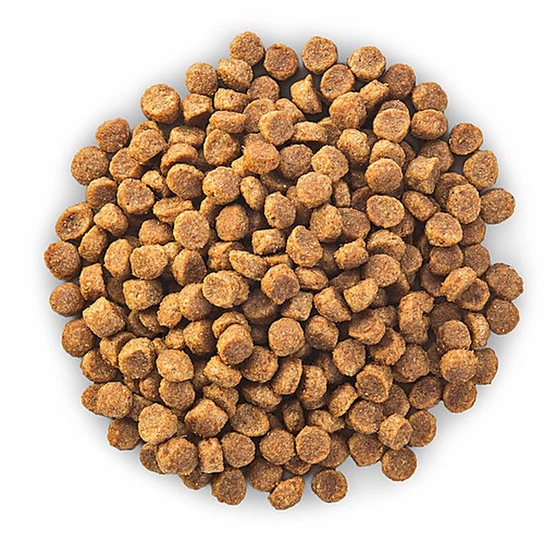 Hill's Science Plan - Croquettes Au Poulet Et Dinde Pour Chien Sénior De Petite Race 6 Hill's Science Plan - Croquettes Au Poulet Et Dinde Pour Chien Sénior De Petite Race – Image 4