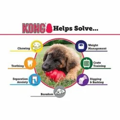 KONG - Jouet Puppy Pour Chiot 13 KONG - Jouet Puppy Pour Chiot -Magasin De Fournitures Pour Chiens 28993