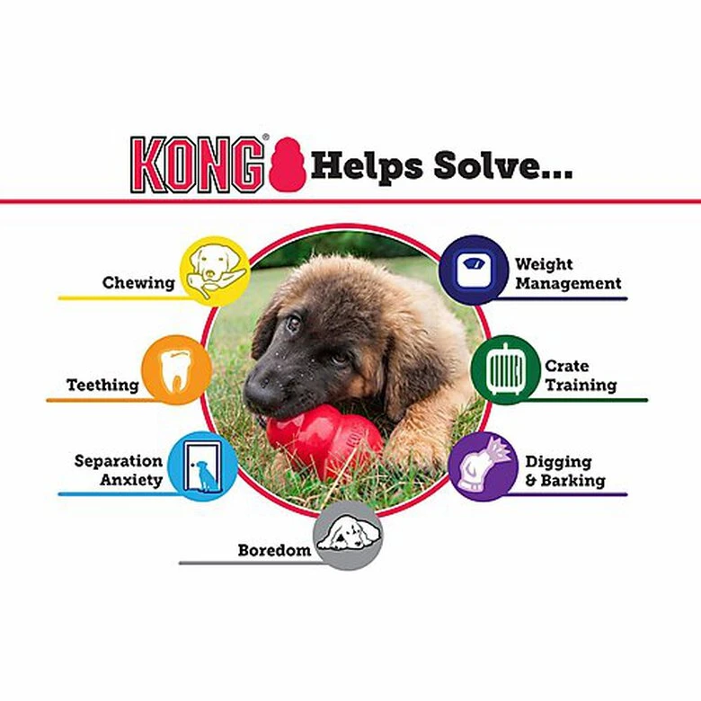 KONG - Jouet Puppy Pour Chiot 7 KONG - Jouet Puppy Pour Chiot – Image 5