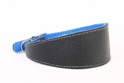 Yogipet - Collier En Cuir Lévrier Pour Chien - Bleu