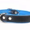 Yogipet - Collier En Cuir Pour Chien - Bleu -Magasin De Fournitures Pour Chiens 29103