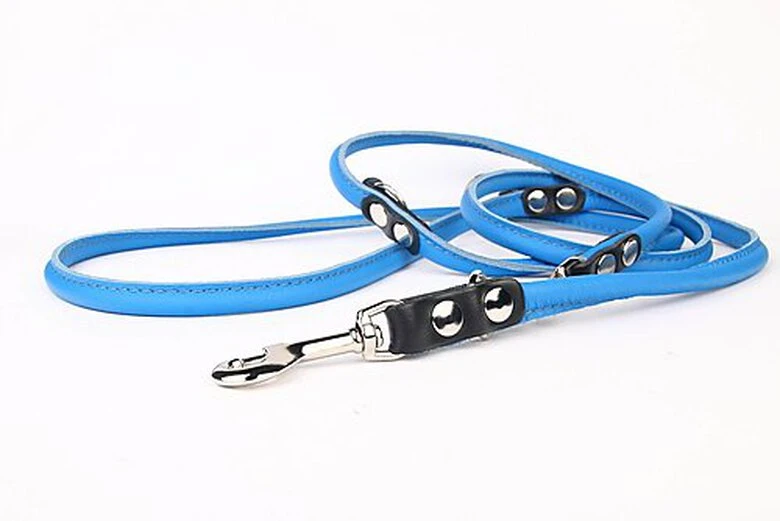 Yogipet - Laisse En Cuir Réglable 220cm Pour Chien - Bleu 3 Yogipet - Laisse En Cuir Réglable 220cm Pour Chien - Bleu
