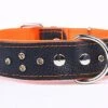 Yogipet - Collier Cuir Large Crystal Pour Chien - Orange 1 Yogipet - Collier Cuir Large Crystal Pour Chien - Orange -Magasin De Fournitures Pour Chiens 29150