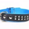 Yogipet - Collier Cuir Nylon Studs Pour Chien - Bleu -Magasin De Fournitures Pour Chiens 29162