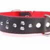 Yogipet - Collier Large Cuir Clouté Pour Chien - Rouge -Magasin De Fournitures Pour Chiens 29173