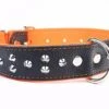 Yogipet - Collier Large Cuir Clouté Pour Chien - Orange -Magasin De Fournitures Pour Chiens 29177