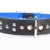 Yogipet - Collier Large Cuir Clouté Pour Chien - Bleu -Magasin De Fournitures Pour Chiens 29179