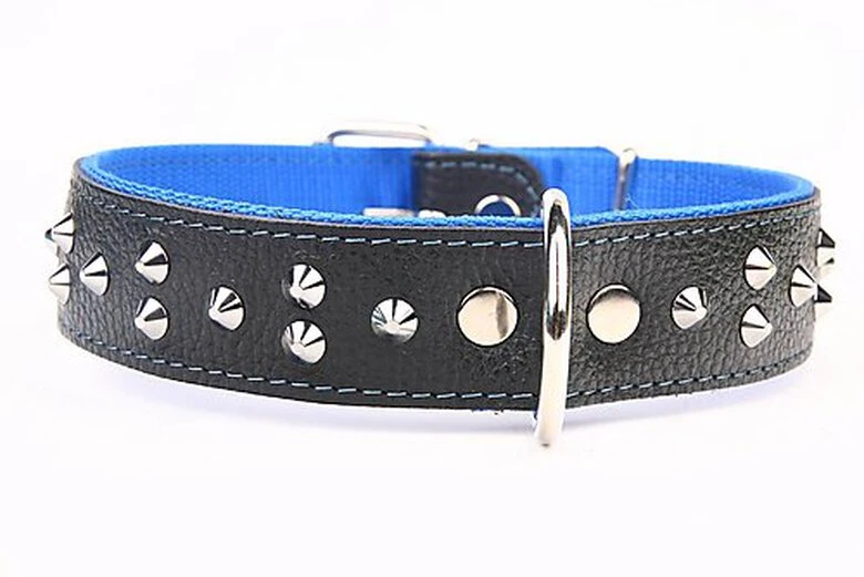 Yogipet - Collier Large Cuir Clouté Pour Chien - Bleu 3 Yogipet - Collier Large Cuir Clouté Pour Chien - Bleu