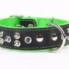 Yogipet - Collier Large Cuir Pointe Pour Chien - Vert 1 Yogipet - Collier Large Cuir Pointe Pour Chien - Vert -Magasin De Fournitures Pour Chiens 37773