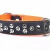 Yogipet - Collier Large Cuir Pointe Pour Chien - Orange 1 Yogipet - Collier Large Cuir Pointe Pour Chien - Orange -Magasin De Fournitures Pour Chiens 37775