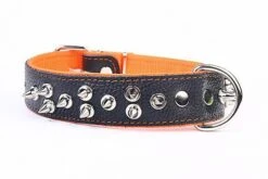 Yogipet - Collier Large Cuir Pointe Pour Chien - Orange