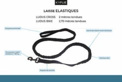 Kyflie - Laisse élastique Anti-chocs LUDUS CROSS Noir Pour Chien - 2m 6 Kyflie - Laisse élastique Anti-chocs LUDUS CROSS Noir Pour Chien - 2m -Magasin De Fournitures Pour Chiens 37865