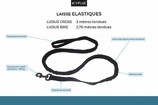 Kyflie - Laisse élastique Anti-chocs LUDUS CROSS Noir Pour Chien - 2m 4 Kyflie - Laisse élastique Anti-chocs LUDUS CROSS Noir Pour Chien - 2m – Image 2