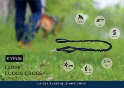Kyflie - Laisse élastique Anti-chocs LUDUS CROSS Noir Pour Chien - 2m 7 Kyflie - Laisse élastique Anti-chocs LUDUS CROSS Noir Pour Chien - 2m -Magasin De Fournitures Pour Chiens 38816