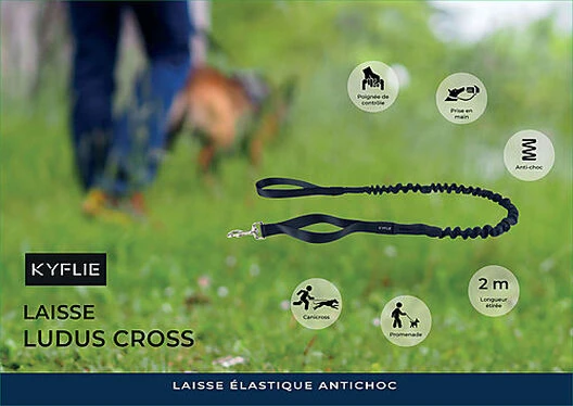 Kyflie - Laisse élastique Anti-chocs LUDUS CROSS Noir Pour Chien - 2m 5 Kyflie - Laisse élastique Anti-chocs LUDUS CROSS Noir Pour Chien - 2m – Image 3