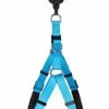 Animalis - Harnais Basic Confort T2 20mm Et 57/75cm Pour Chien - Bleu 1 Animalis - Harnais Basic Confort T2 20mm Et 57/75cm Pour Chien - Bleu -Magasin De Fournitures Pour Chiens 39461