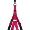 Animalis - Harnais Basic Confort T2 20mm Et 57/75cm Pour Chien - Fuchsia 2 Animalis - Harnais Basic Confort T2 20mm Et 57/75cm Pour Chien - Fuchsia -Magasin De Fournitures Pour Chiens 39475