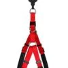 Animalis - Harnais Basic Confort T4 40mm Et 96/120cm Pour Chien - Rouge -Magasin De Fournitures Pour Chiens 39477