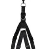 Animalis - Harnais Basic Confort T2 20mm Et 57/75cm Pour Chien - Noir 2 Animalis - Harnais Basic Confort T2 20mm Et 57/75cm Pour Chien - Noir -Magasin De Fournitures Pour Chiens 39488