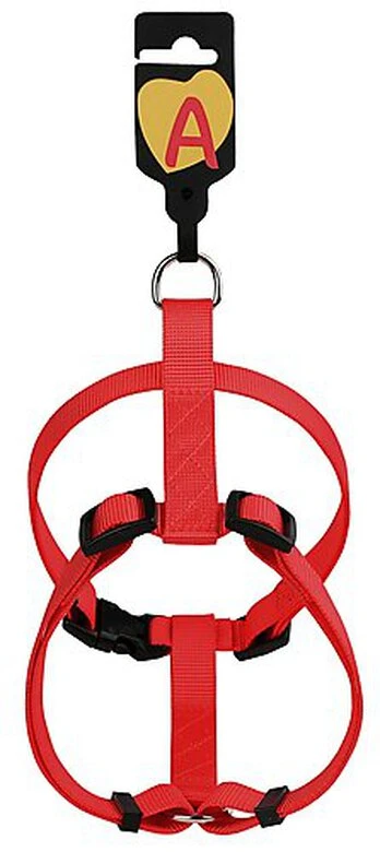 Animalis - Harnais Basic T2 20mm Et 52/80cm Pour Chien - Rouge 4 Animalis - Harnais Basic T2 20mm Et 52/80cm Pour Chien - Rouge – Image 2