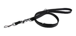 Animalis - Laisse Multifonction Basic 20mm Et 200cm Pour Chien - Noir