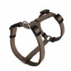 Animalis - Harnais Basic T3 25mm Et 63/97cm Pour Chien - Taupe 1 Animalis - Harnais Basic T3 25mm Et 63/97cm Pour Chien - Taupe -Magasin De Fournitures Pour Chiens 39538