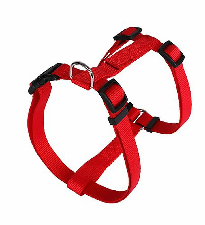Animalis - Harnais Basic T2 20mm Et 52/80cm Pour Chien - Rouge 3 Animalis - Harnais Basic T2 20mm Et 52/80cm Pour Chien - Rouge
