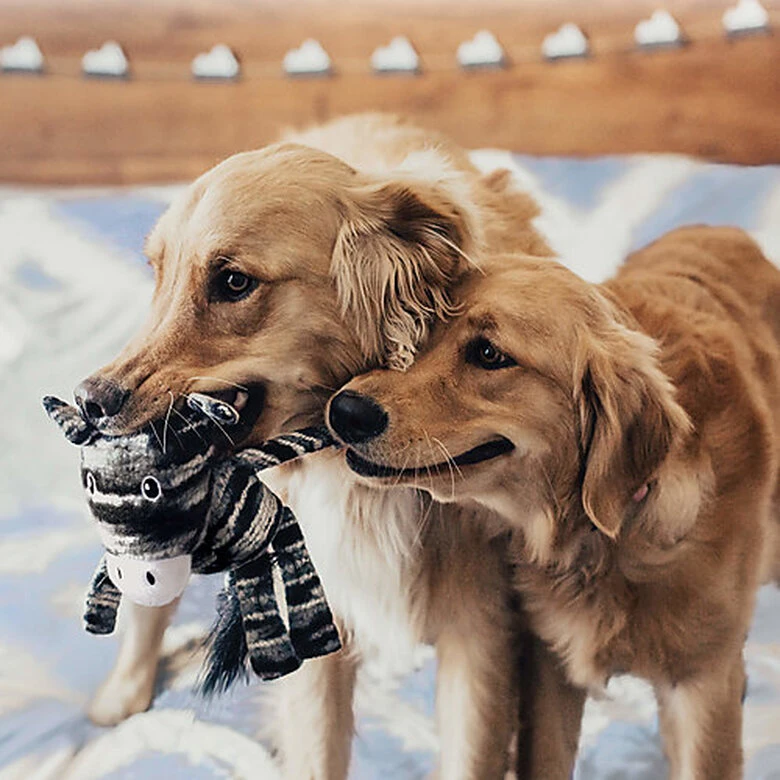 KONG - Peluche Yarnimals Monkey Singe Pour Chien - M/L 4 KONG - Peluche Yarnimals Monkey Singe Pour Chien - M/L – Image 2