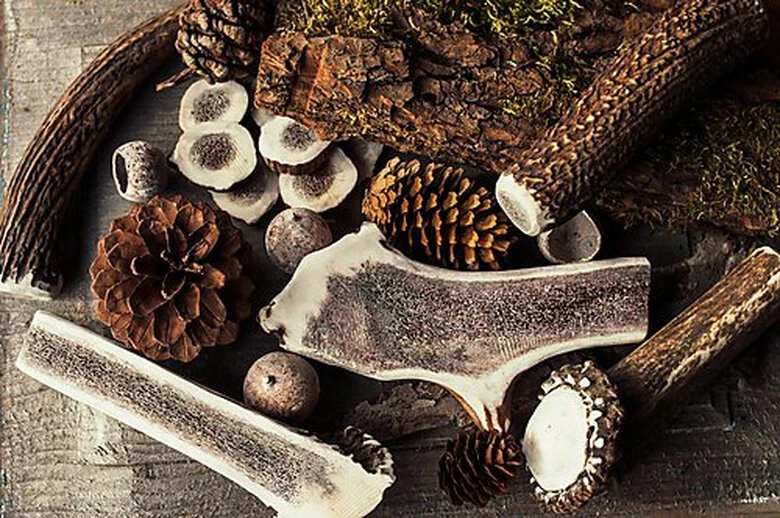 Animalis - Friandise Bois De Cerf Fendu Pour Chien 4 Animalis - Friandise Bois De Cerf Fendu Pour Chien – Image 2