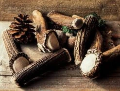 Animalis - Friandise Bois De Cerf Entier Pour Chien -Magasin De Fournitures Pour Chiens 41020