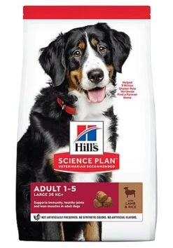 Hill's Science Plan - Croquettes Ă L'Agneau Et Riz Pour Chien De Grande Race - 12Kg