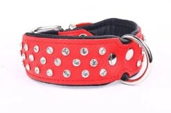 Yogipet - Collier Crystal Déco Pour Chien - Rouge 7 Yogipet - Collier Crystal Déco Pour Chien - Rouge -Magasin De Fournitures Pour Chiens 41855