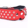 Yogipet - Collier Crystal Déco Pour Chien - Rouge