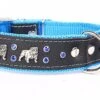 Yogipet - Collier Bulldog Cuir Crystal Pour Chien - Bleu 1 Yogipet - Collier Bulldog Cuir Crystal Pour Chien - Bleu -Magasin De Fournitures Pour Chiens 41897