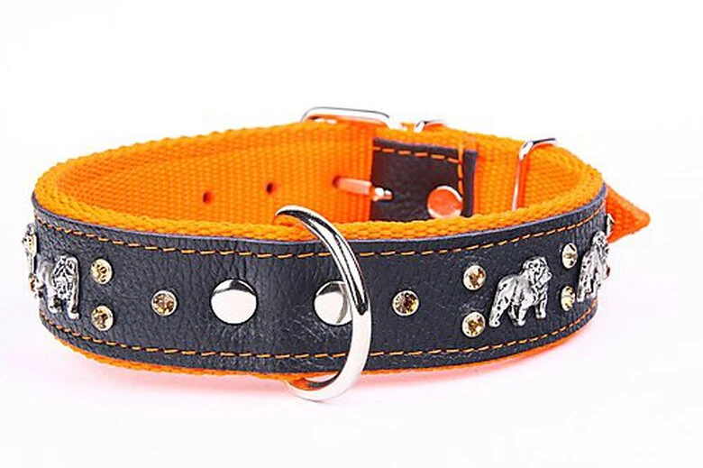 Yogipet - Collier Bulldog Cuir Crystal Pour Chien - Orange 4 Yogipet - Collier Bulldog Cuir Crystal Pour Chien - Orange – Image 2