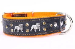Yogipet - Collier Bulldog Cuir Crystal Pour Chien - Orange 9 Yogipet - Collier Bulldog Cuir Crystal Pour Chien - Orange -Magasin De Fournitures Pour Chiens 41914