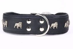 Yogipet - Collier Super Bulldog Cuir Pour Chien - Noir 7 Yogipet - Collier Super Bulldog Cuir Pour Chien - Noir -Magasin De Fournitures Pour Chiens 41918