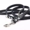 Yogipet - Laisse Ajustable 1,6/220cm Pour Chien - Noir -Magasin De Fournitures Pour Chiens 41936