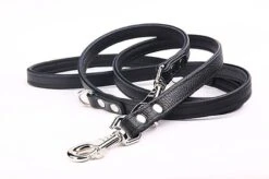 Yogipet - Laisse Ajustable 1,6/220cm Pour Chien - Noir