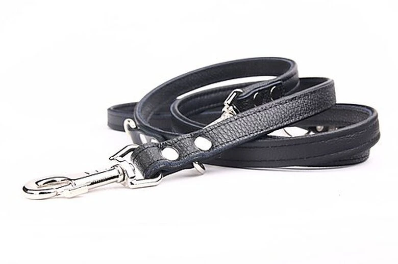 Yogipet - Laisse Ajustable 1,6/220cm Pour Chien - Noir 6 Yogipet - Laisse Ajustable 1,6/220cm Pour Chien - Noir – Image 4